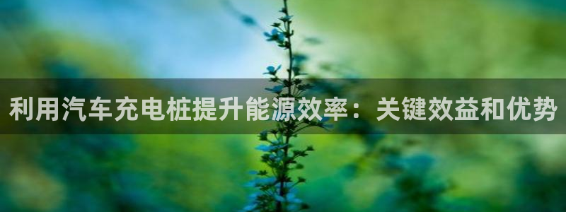 威廉希尔反波胆平台在维护吗：利用汽车充电桩提升能源效率：关键效益和优势