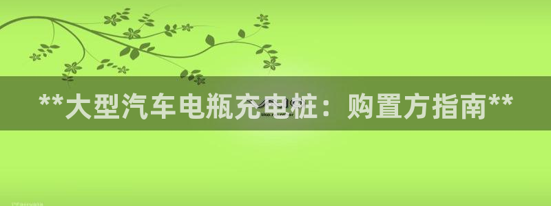 威廉希尔在国内怎么用：**大型汽车电瓶充电桩：购置方指南**