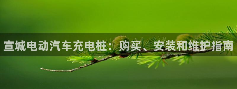 谁知道正规的威廉希尔公司：宣城电动汽车充电桩：购买、安装和维护指南