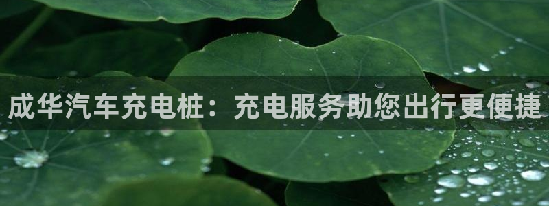 威廉体育官方app下载安卓：成华汽车充电桩：充电服务助您出行更便捷